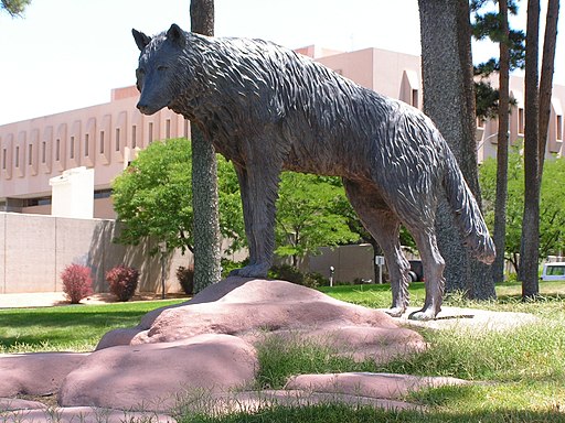 Bronze statue of a Lobo on the UNM grounds.